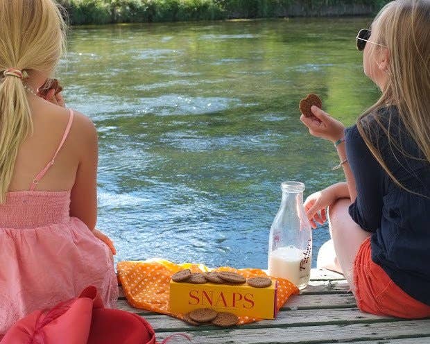 Snaps Ginger Cookies