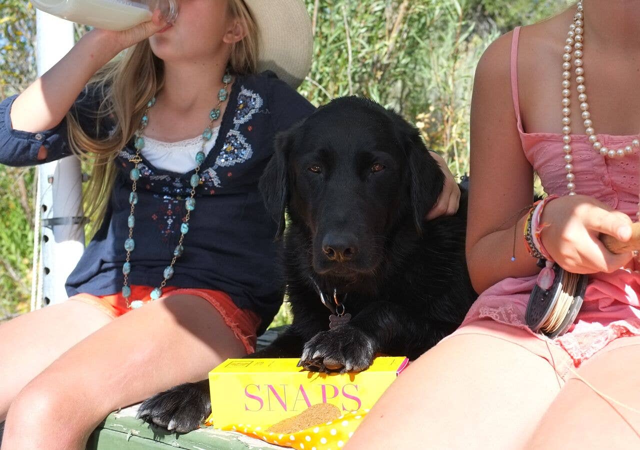 Snaps Ginger Cookies