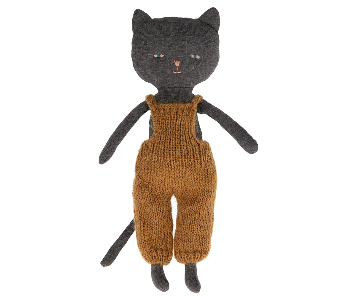 Chattons Kitten, Black