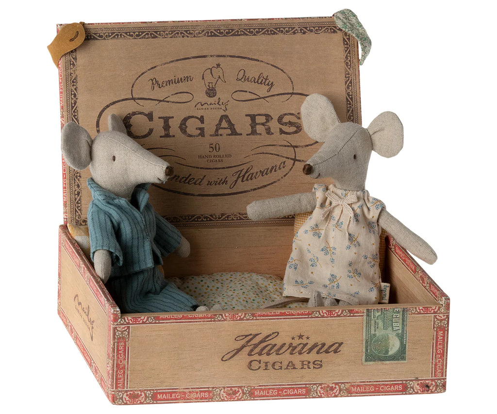 Mice in Cigar Box, Mum & Dad