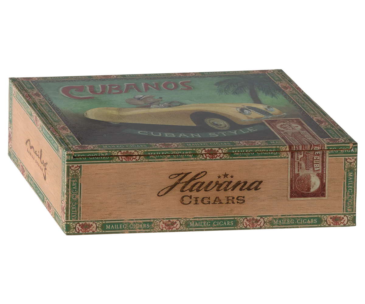 Grandma + Grandpa Mice In Cigarbox