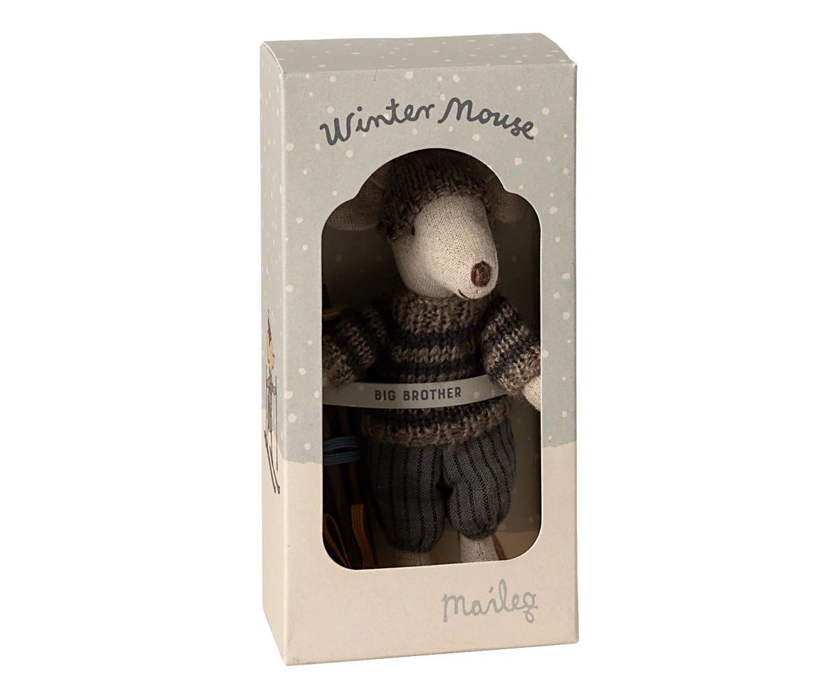 Winter Ski Mouse, Big Brother