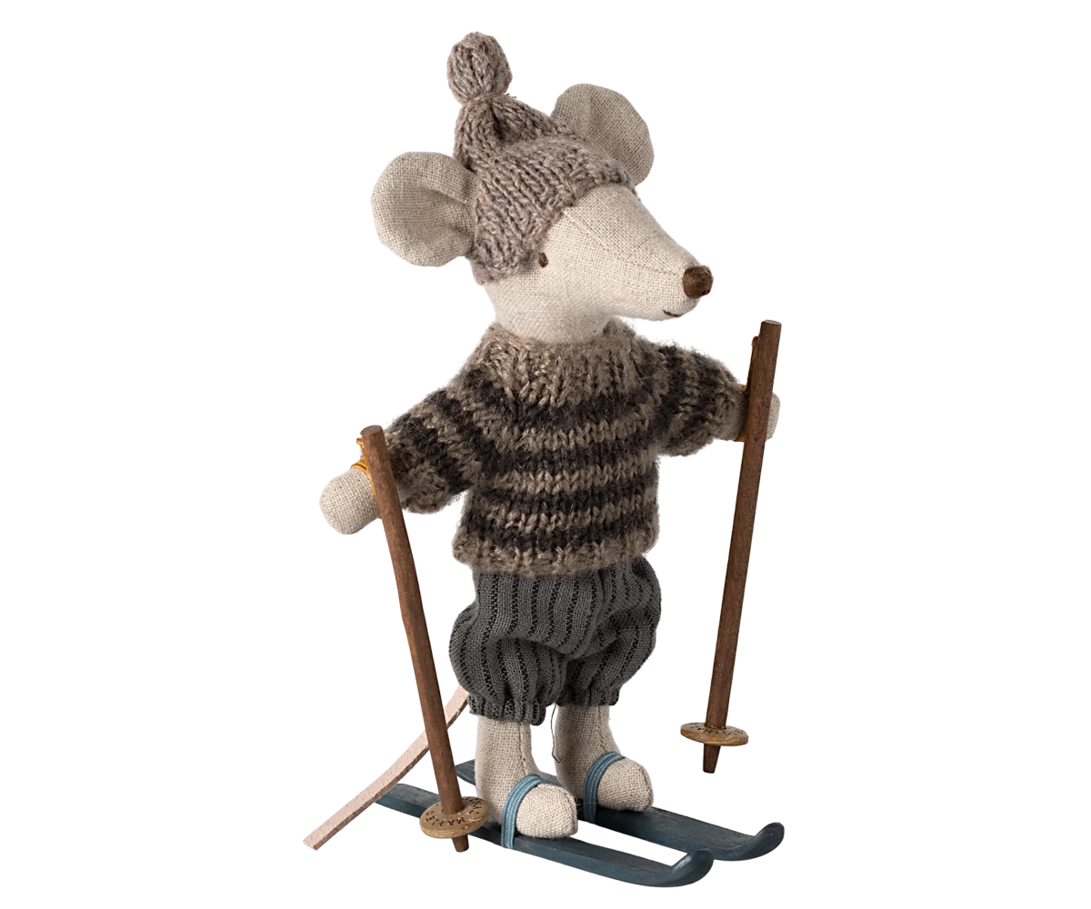 Winter Ski Mouse, Big Brother