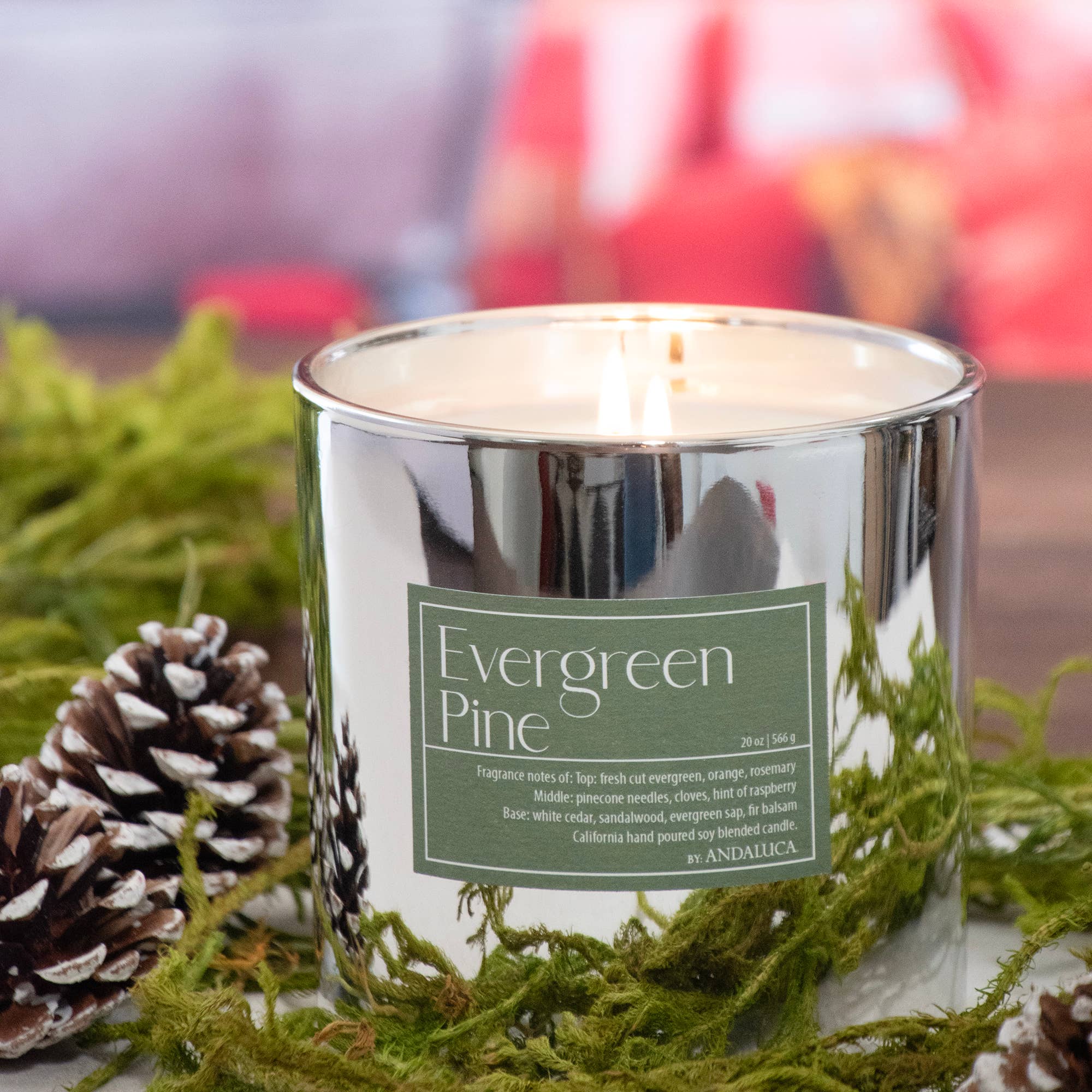 Evergreen Pine Candle