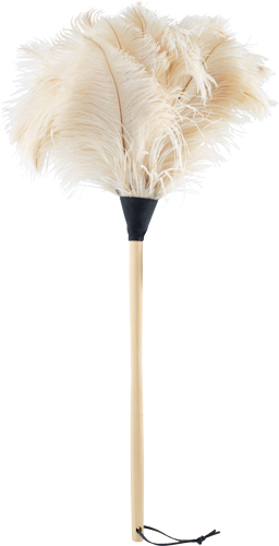 Ostrich Feather Duster, White