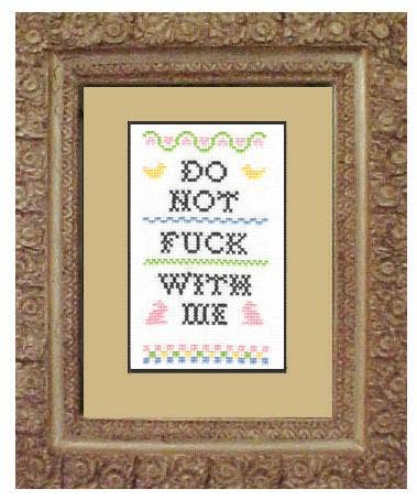 Do Not Fuck With Me Cross Stitch Kit