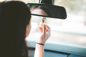 Delta Car Diffuser