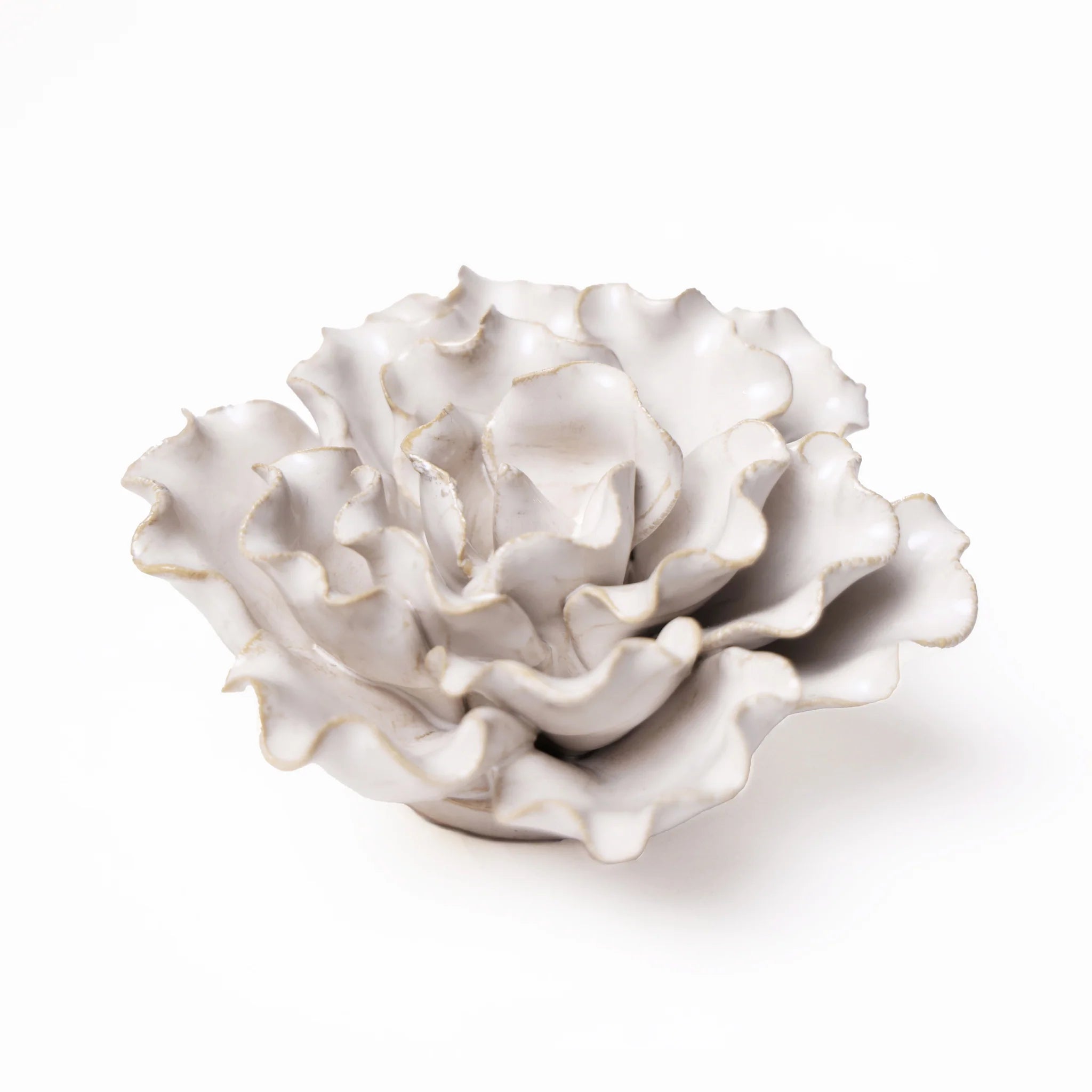Ceramic Flower, Sea Lettuce