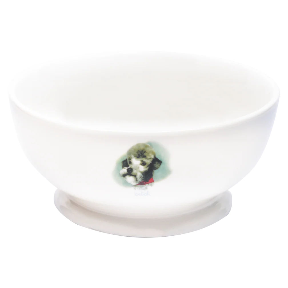 Bitch Bowl