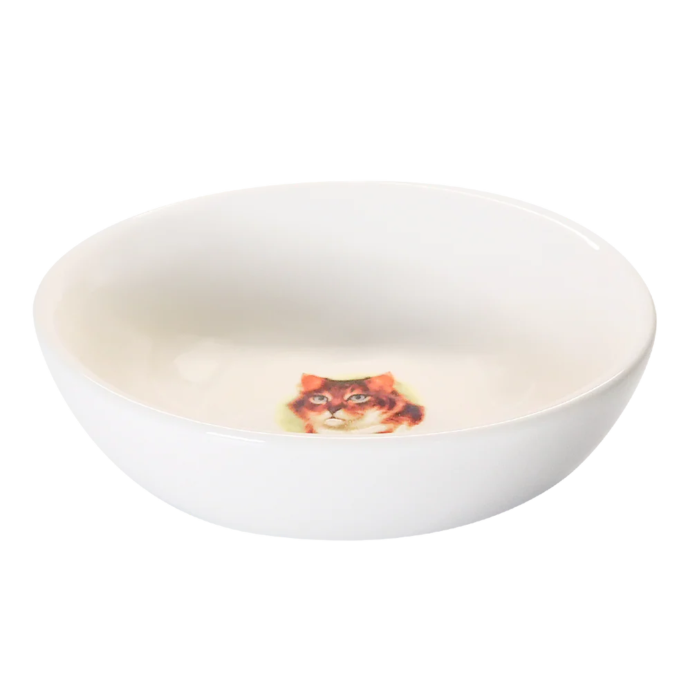 Pussy Bowl