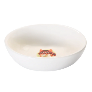 Pussy Bowl
