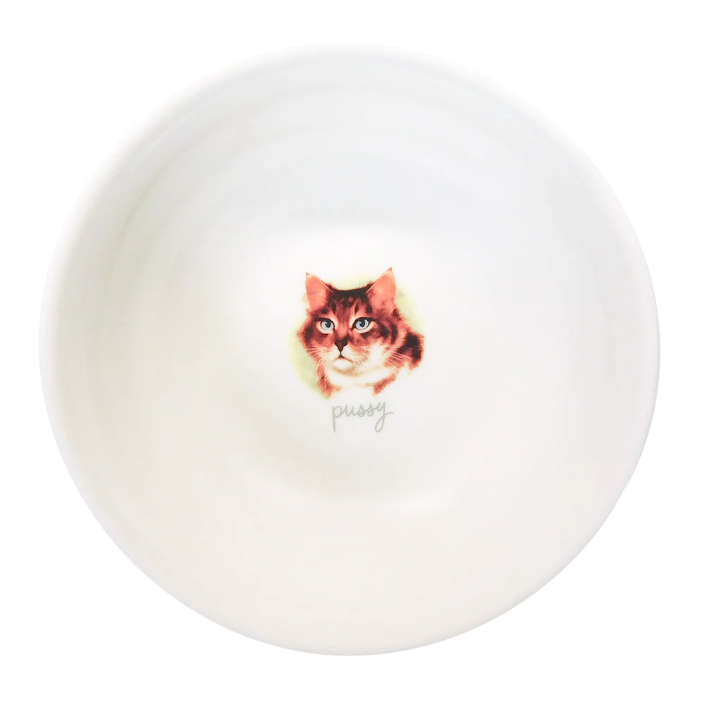 Pussy Bowl