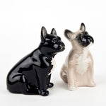 French Bulldog Salt + Pepper Fawn/Black