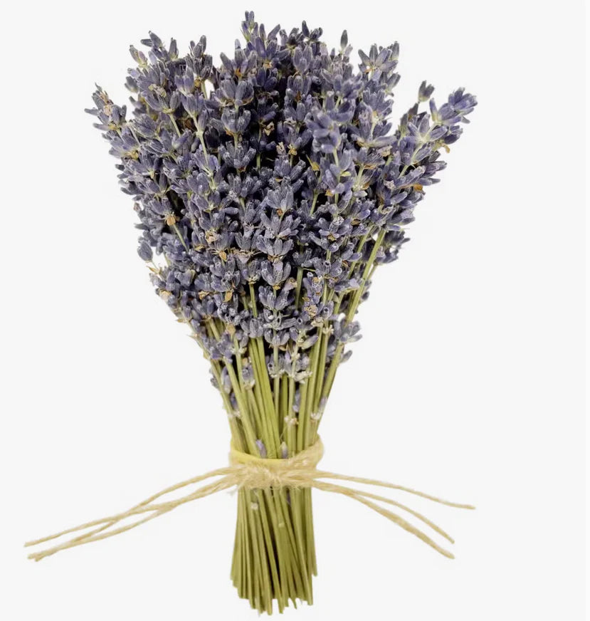 Mini French Lavender Bundle
