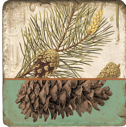 Pinecone Botanical Marble Coaster