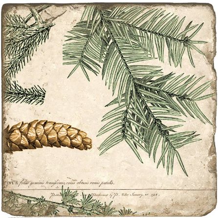 Pinecone Botanical Marble Coaster
