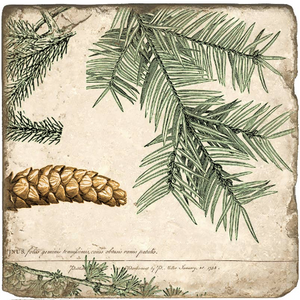 Pinecone Botanical Marble Coaster