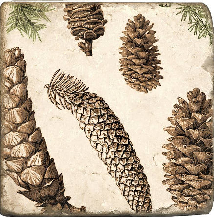 Pinecone Botanical Marble Coaster
