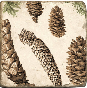 Pinecone Botanical Marble Coaster