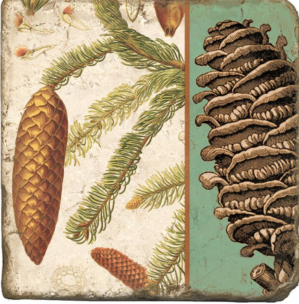 Pinecone Botanical Marble Coaster