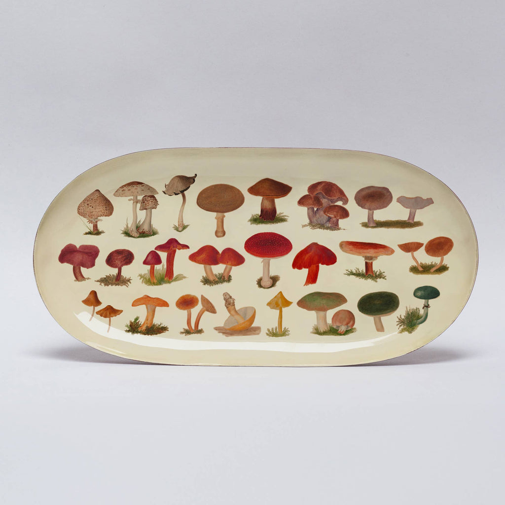 Oval Enamel Tray, Fungi