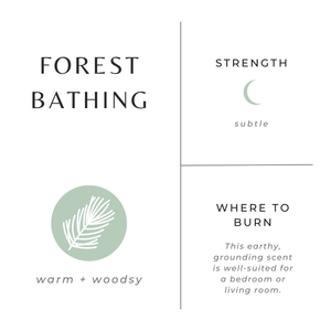 Forest Bathing Frosted Candle