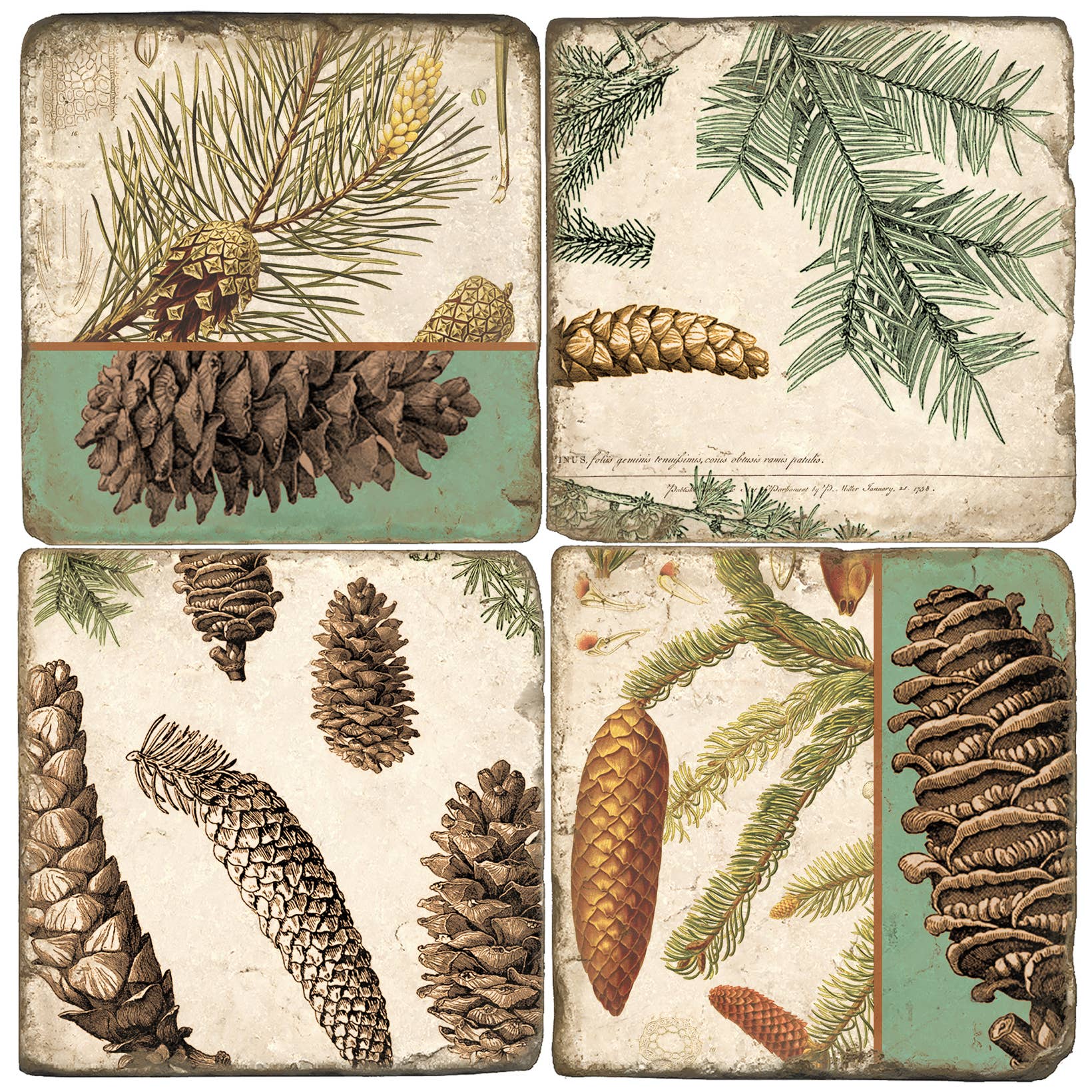 Pinecone Botanical Marble Coaster