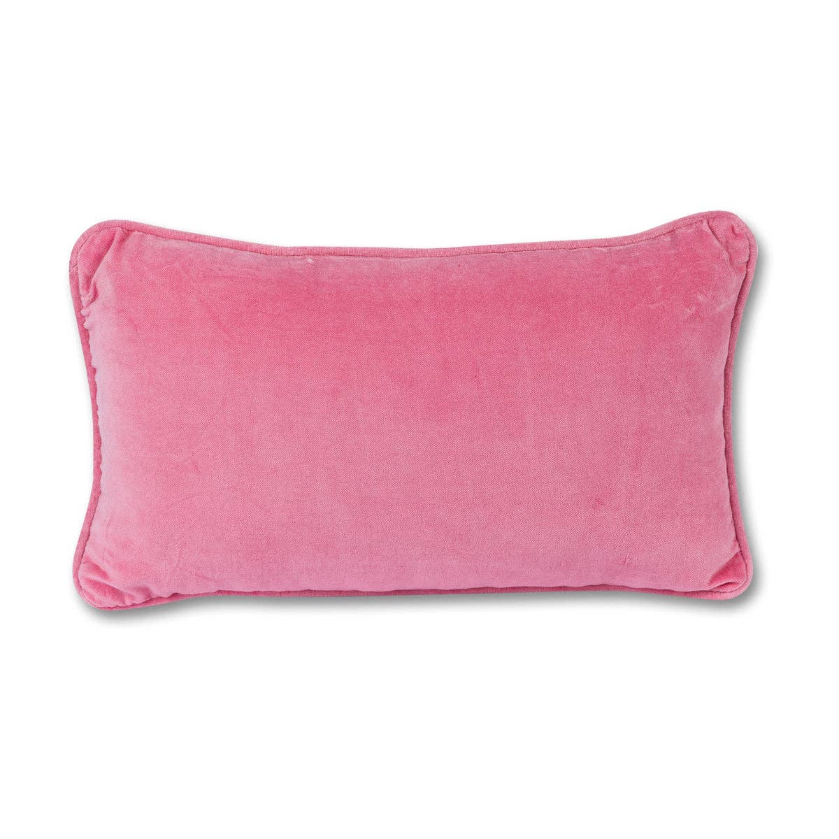Ain't Nobody Needlepoint Pillow