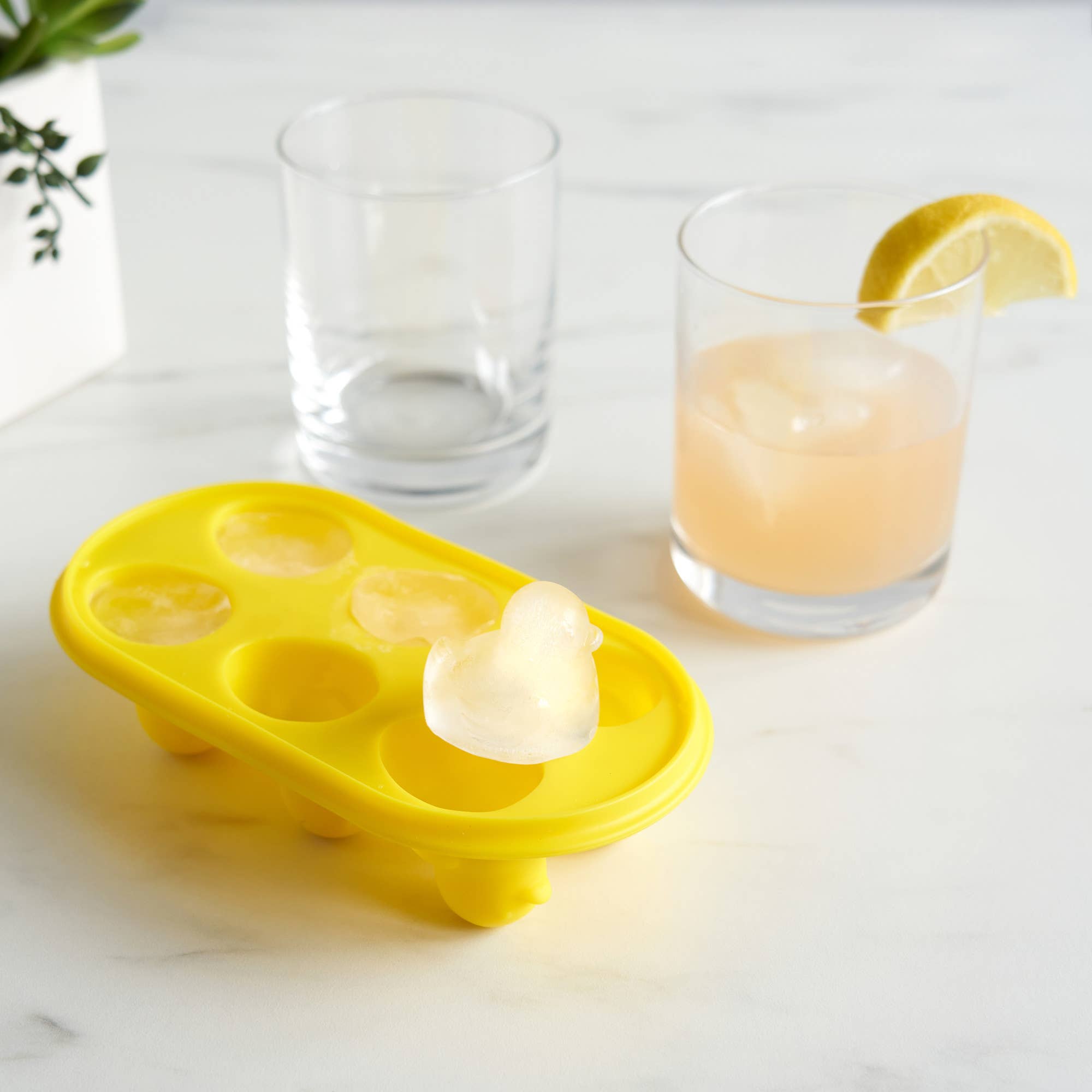 Duck Ice Mold