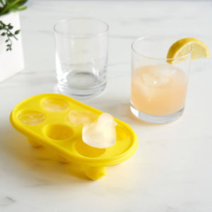 Duck Ice Mold