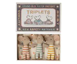 Baby Mice, Triplets in Matchbox