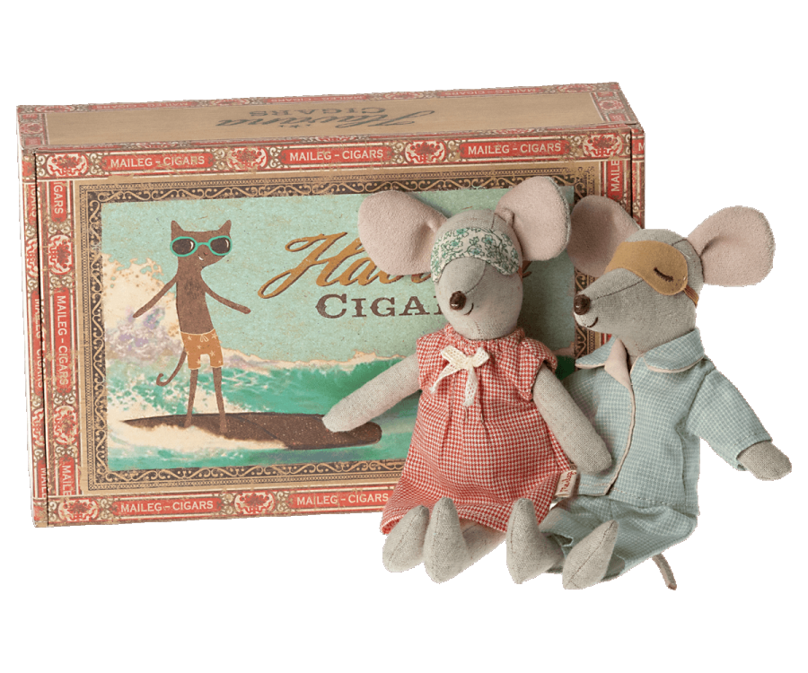 Mice in Cigar Box, Mum & Dad
