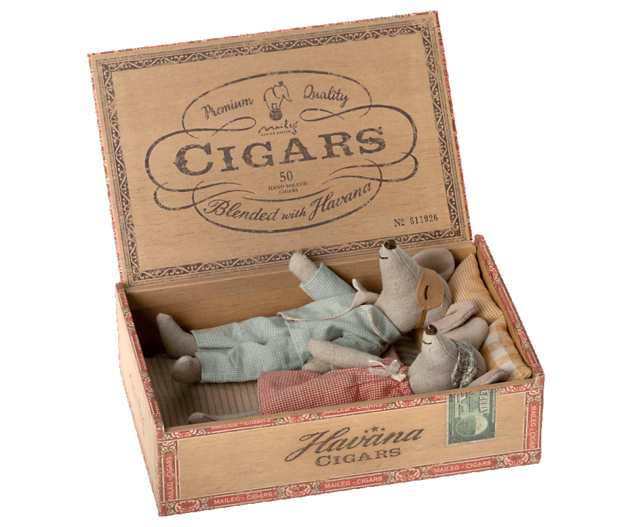 Mice in Cigar Box, Mum & Dad