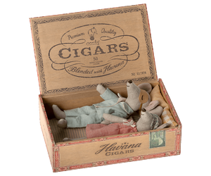 Mice in Cigar Box, Mum & Dad