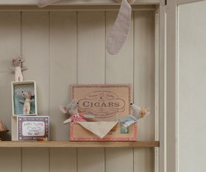 Mice in Cigar Box, Mum & Dad
