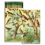 Matches, Bird Studies