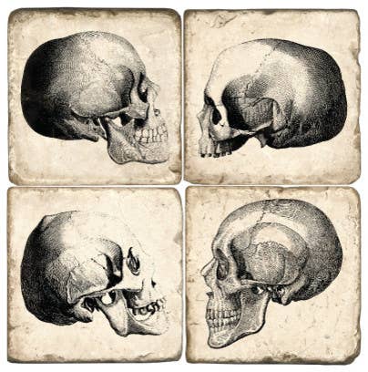 Skulls Tumbled Marble Coaster