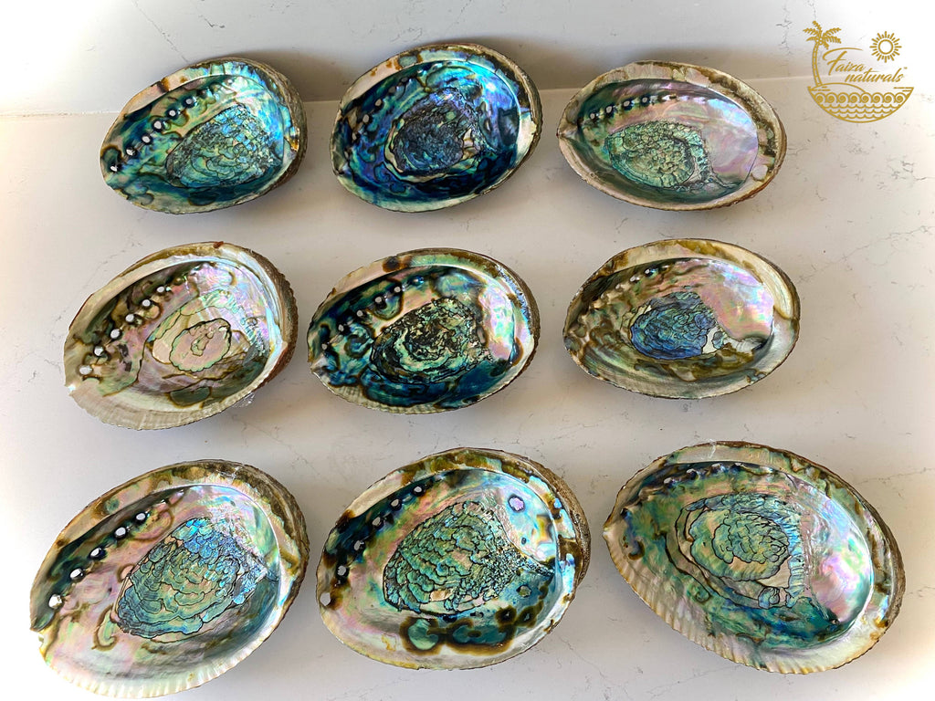 Abalone Shell Smudge Bowl