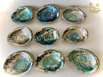 Abalone Shell Smudge Bowl