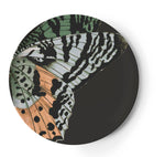 Metamorphosis Butterfly Dinner Plate, Melamime