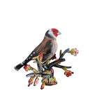 Bird "Red Baron"