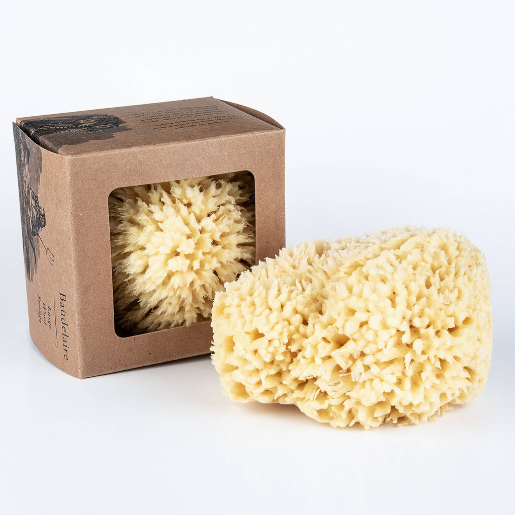 Bath Sea Sponge Gift Box