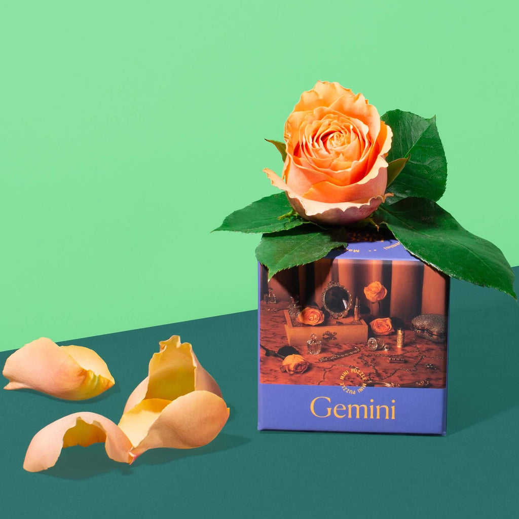 Gemini Mini Puzzle