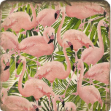 Flamingo And Frond Coaster