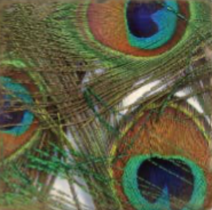 Peacock Feathers Tumbled Marble Coaster