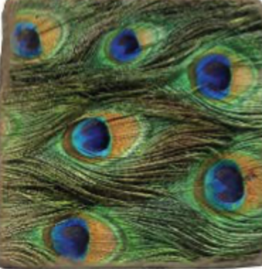 Peacock Feathers Tumbled Marble Coaster