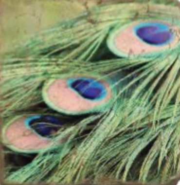 Peacock Feathers Tumbled Marble Coaster