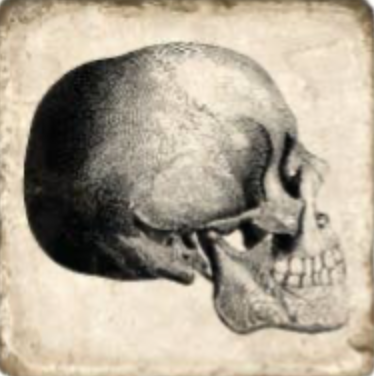 Skulls Tumbled Marble Coaster