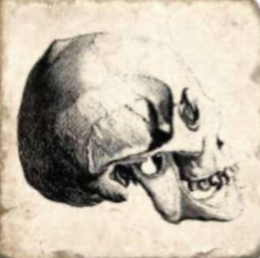 Skulls Tumbled Marble Coaster