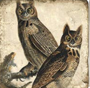 Vintage Owls Tumbled Marble Coaster
